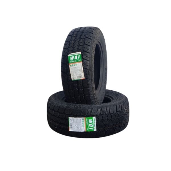 ARO18 285/60R18 DOUBLESTAR W01 AT