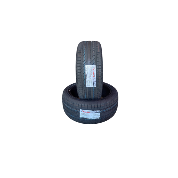 ARO19 225/45R19 ANTARES LOCUS